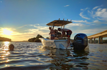 Government Island